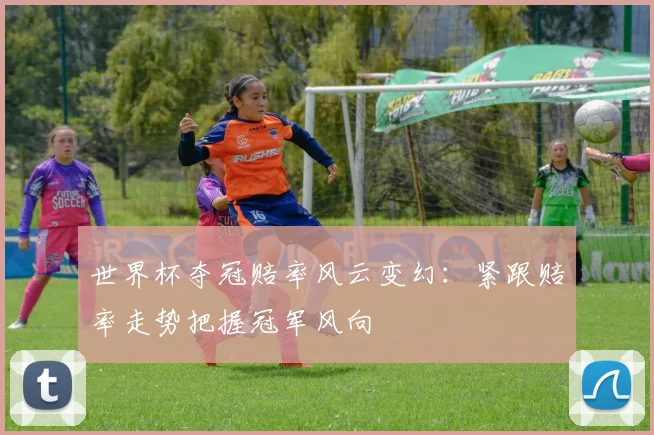 世界杯夺冠赔率风云变幻：紧跟赔率走势把握冠军风向