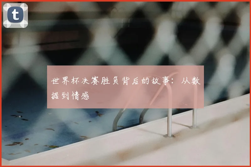 世界杯决赛胜负背后的故事：从数据到情感