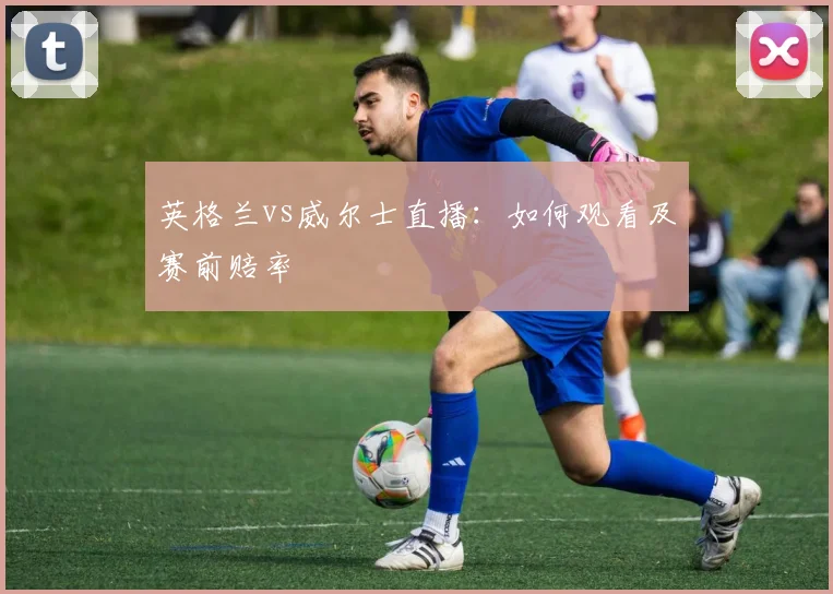 英格兰vs威尔士直播：如何观看及赛前赔率